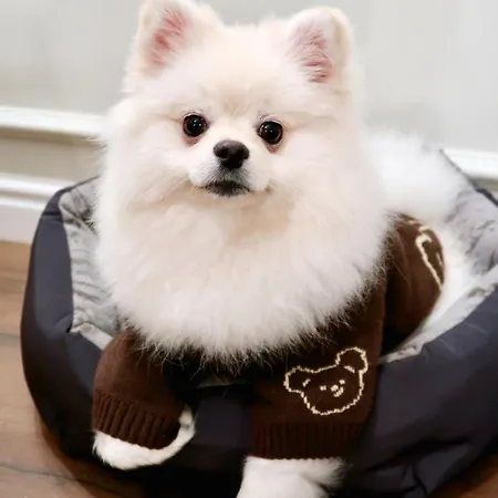 Western Market Square 4* Lwów